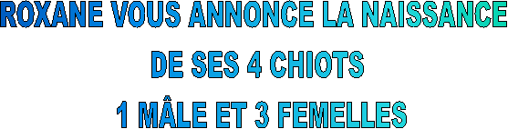 ROXANE VOUS ANNONCE LA NAISSANCE  
DE SES 4 CHIOTS 
1 MÂLE ET 3 FEMELLES